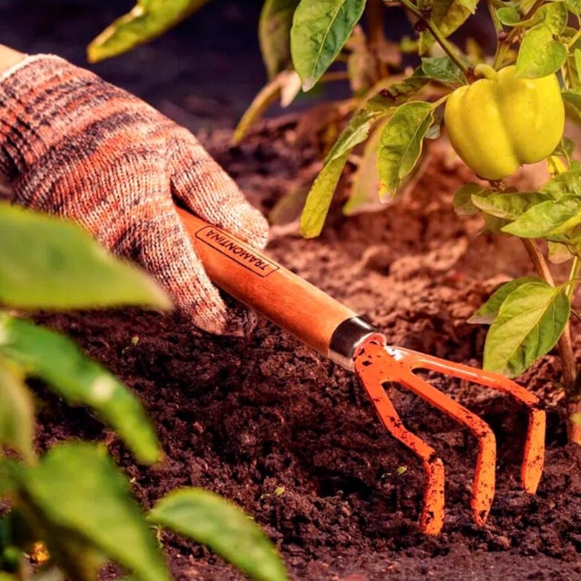 Ancinho Metálico com 3 Dentes para Jardinagem com Cabo de Madeira - TRAMONTINA