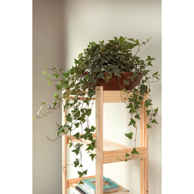 Estante de Madeira Tramontina Modulare 2 Prateleiras 90x30,2 cm Estante de Madeira Tramontina Modulare 2 Prateleiras 90x30,2 cm