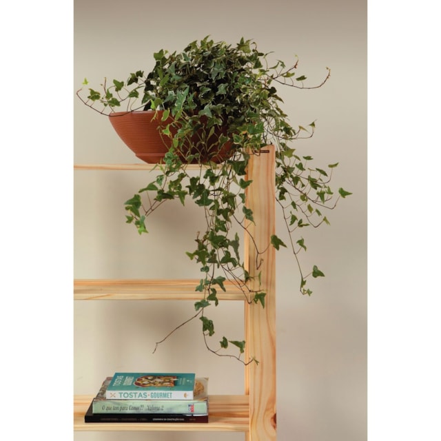 Estante de Madeira Tramontina Modulare 5 Prateleiras 62,2x30,2 cm Estante de Madeira Tramontina Modulare 5 Prateleiras 62,2x30,2 cm