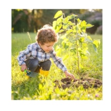 Kit Cultivo Brincando De Ser Jardineiro Multikids - BR1844 Kit Cultivo Brincando De Ser Jardineiro Multikids - BR1844