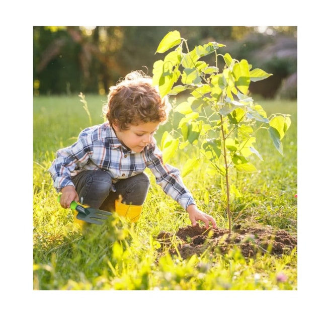 Kit Cultivo Brincando De Ser Jardineiro Multikids - BR1844 Kit Cultivo Brincando De Ser Jardineiro Multikids - BR1844