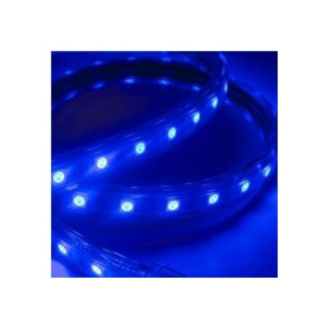 Metro de Fita de Led Achatada Azul 5050 220V Metro - MGC