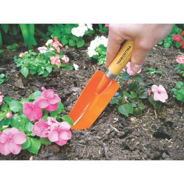 Pazinha Estreita Metálica para Jardinagem com Cabo de Madeira - TRAMONTINA
 Pazinha Estreita Metálica para Jardinagem com Cabo de Madeira - TRAMONTINA