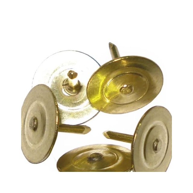 Percevejo Latonado - JAPI Percevejo Latonado - JAPI