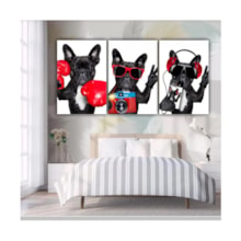 Quadros Decorativos quarto Cachorro Buldogue Frances Divertido 60x40