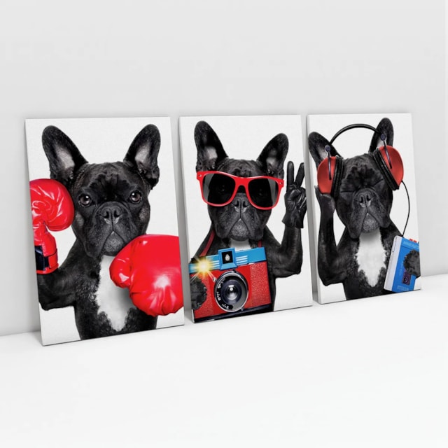 Quadros Decorativos quarto Cachorro Buldogue Frances Divertido