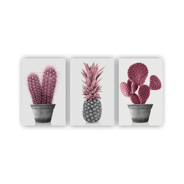 Quadros Decorativos quarto Floral Cacto Rosa